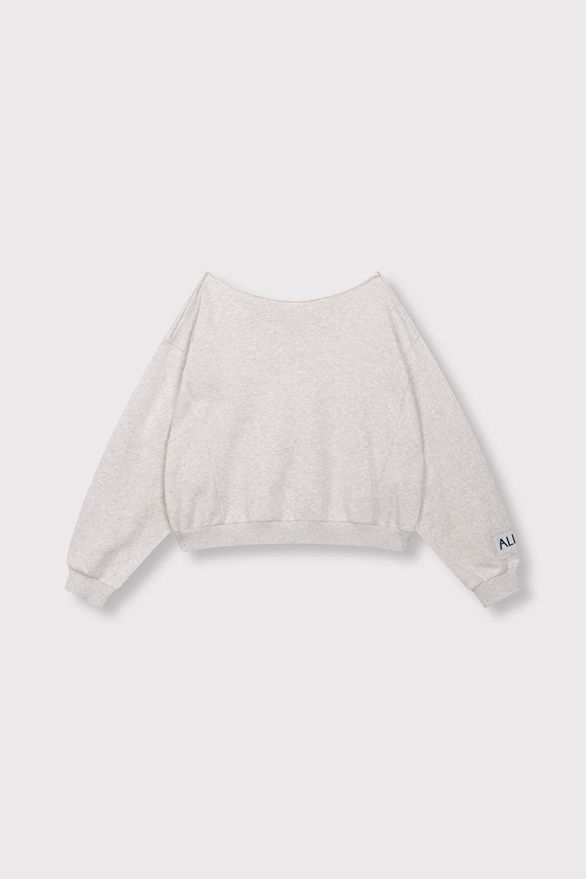 Badwing sweater - Alix The Label