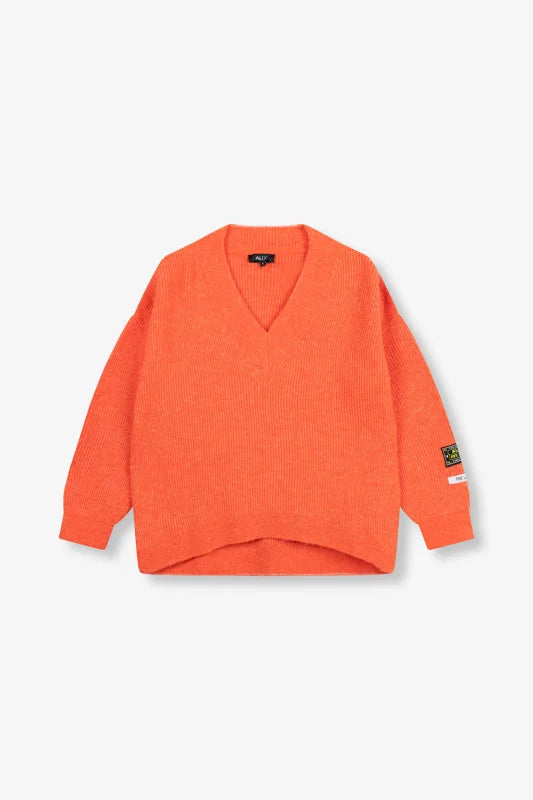 V neck pullover Alix The Label Truien / Vesten
